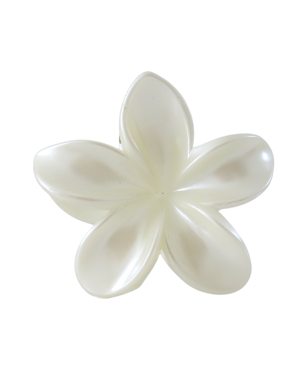 HAIR CLIP ANTO