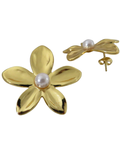 Arete Flower