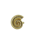 Anillo Snail