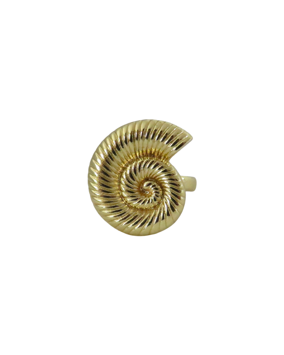 Anillo Snail