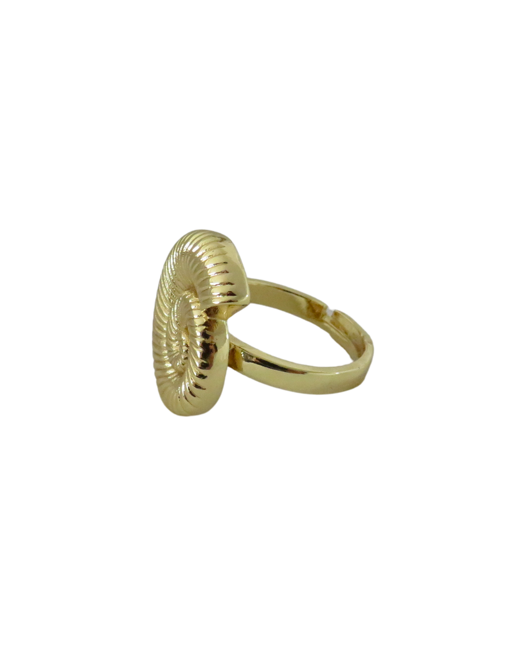 Anillo Snail