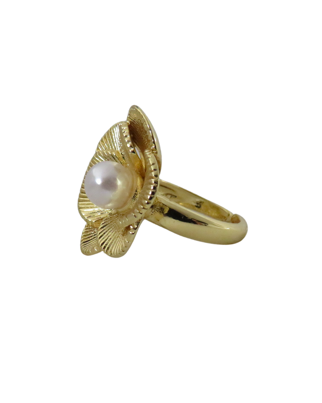 Anillo Marga