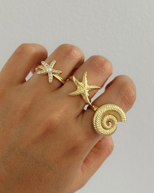 ANILLO SNAIL